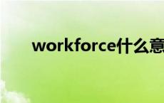 workforce什么意思 work什么意思 