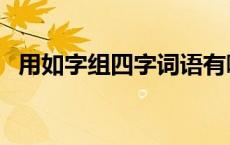 用如字组四字词语有哪些 如组词四字词语 