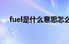 fuel是什么意思怎么读 fuel是什么意思 