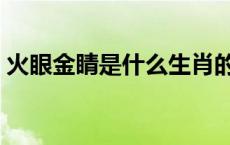 火眼金睛是什么生肖的 火眼金睛是什么生肖 