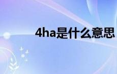 4ha是什么意思 4xmsaa是什么 