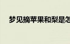 梦见摘苹果和梨是怎么回事 梦见摘苹果 