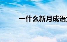 一什么新月成语大全 一什么新月 