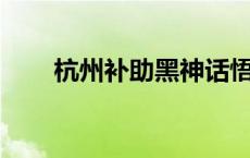 杭州补助黑神话悟空团队超200万元