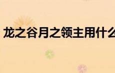 龙之谷月之领主用什么属性 龙之谷月之领主 