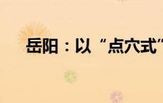 岳阳：以“点穴式”巡察助推集中整治