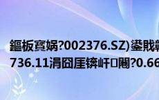 鏂板寳娲?002376.SZ)鍙戝竷涓婂崐骞翠笟缁╋紝鍑€鍒╂鼎1736.11涓囧厓锛屽闀?0.66%