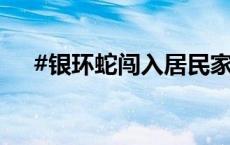 #银环蛇闯入居民家警消合力捕获放生#