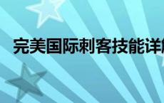 完美国际刺客技能详解 完美国际刺客技能 