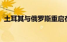 土耳其与俄罗斯重启在叙利亚北部联合巡逻