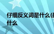 仔细反义词是什么(最佳答案) 仔细反义词是什么 