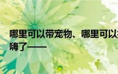 哪里可以带宠物、哪里可以搭帐篷……这场大讨论上大家聊嗨了——