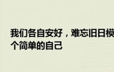 我们各自安好，难忘旧日模样 歌曲入情入心又入骨 只想做个简单的自己