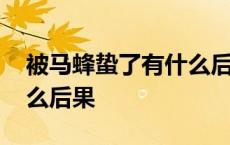 被马蜂蛰了有什么后果图片 被马蜂蛰了有什么后果 