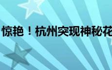 惊艳！杭州突现神秘花海！知道的人真不多…