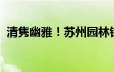 清隽幽雅！苏州园林银花紫薇盛开古韵十足