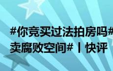 #你竞买过法拍房吗#？谈谈#如何抑制司法拍卖腐败空间#丨快评