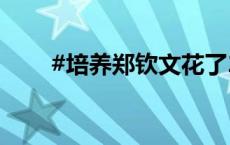 #培养郑钦文花了2000万本人回应#