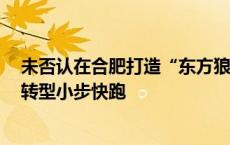 未否认在合肥打造“东方狼堡”  大众汽车集团在华电动化转型小步快跑