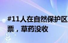 #11人在自然保护区采挖草药被抓#：补交门票，草药没收