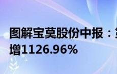 图解宝莫股份中报：第二季度单季净利润同比增1126.96%