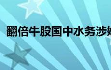 翻倍牛股国中水务涉嫌信披违法违规被立案