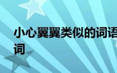 小心翼翼类似的词语一年级 小心翼翼类似的词 