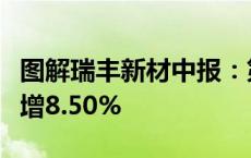 图解瑞丰新材中报：第二季度单季净利润同比增8.50%