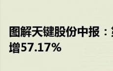 图解天键股份中报：第二季度单季净利润同比增57.17%