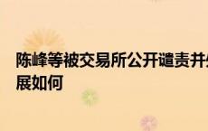 陈峰等被交易所公开谴责并处罚，海航集团万亿债务偿还进展如何