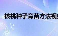 核桃种子育苗方法视频 核桃种子育苗方法 