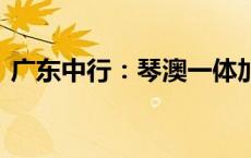 广东中行：琴澳一体加速度 金融开放促融合