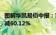 图解华凯易佰中报：第二季度单季净利润同比减60.12%