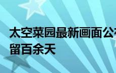 太空菜园最新画面公布！神十八乘组已在轨驻留百余天