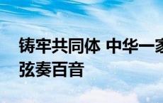 铸牢共同体 中华一家亲丨广西东兴：一根琴弦奏百音