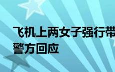 飞机上两女子强行带他人孩子进厕所教育？ 警方回应