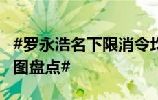 #罗永浩名下限消令均已解除##罗永浩商业版图盘点#