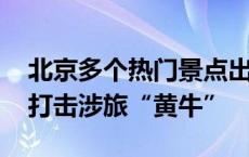 北京多个热门景点出现倒票现象 警方全链条打击涉旅“黄牛”