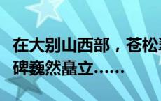 在大别山西部，苍松翠柏间，一座巨大的无字碑巍然矗立……