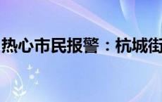 热心市民报警：杭城街头深夜两匹白马压马路