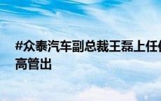 #众泰汽车副总裁王磊上任仅三月后辞职# ：年内已有多名高管出