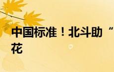 中国标准！北斗助“一航津安1”实现海底绣花