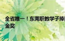 全省唯一！东莞职教学子捧回中国国际大学生创新大赛省赛金奖