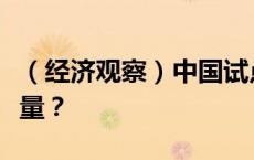 （经济观察）中国试点房屋养老金制度有何考量？