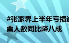 #张家界上半年亏损逾6000万#，大庸古城购票人数同比降八成