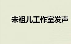 宋祖儿工作室发声：无偷逃税款的行为