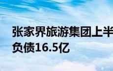 张家界旅游集团上半年亏6116万，大庸古城负债16.5亿