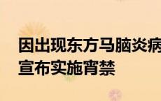 因出现东方马脑炎病例 美国马萨诸塞州城镇宣布实施宵禁