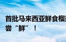 首批马来西亚鲜食榴莲落地大湾区，记者带你尝“鲜”！