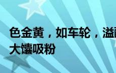 色金黄，如车轮，溢酥香！人大留学生被库车大馕吸粉